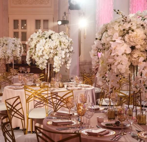 Desert Bloom Events