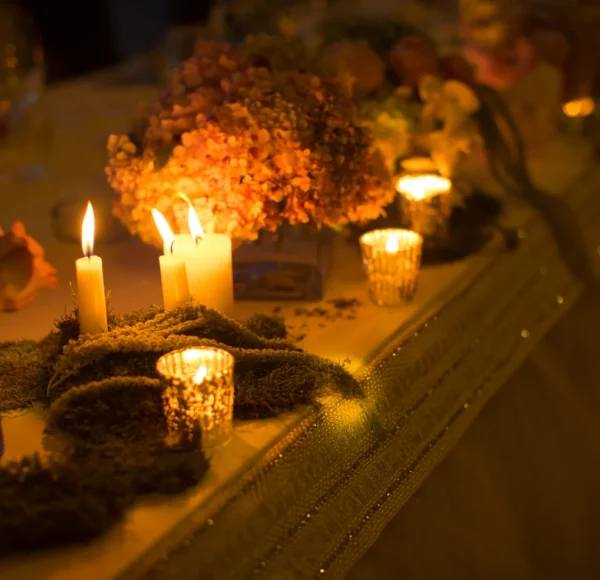 Desert Bloom Events